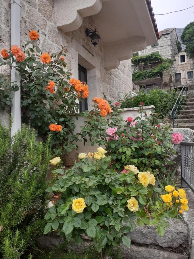 Vila Divna Подгора Экстерьер фото